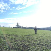 X Marks the Spot || The Vineyard at Lockley Farm